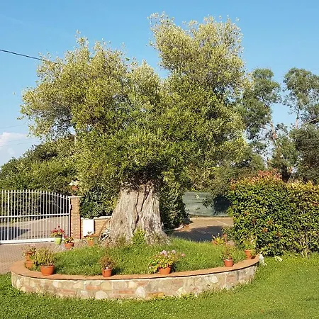 Casal Sant'elena Bed and breakfast